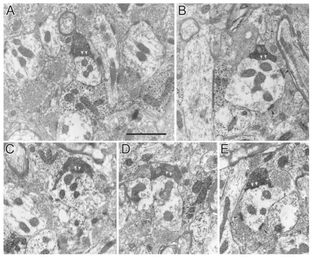 Fig. 9