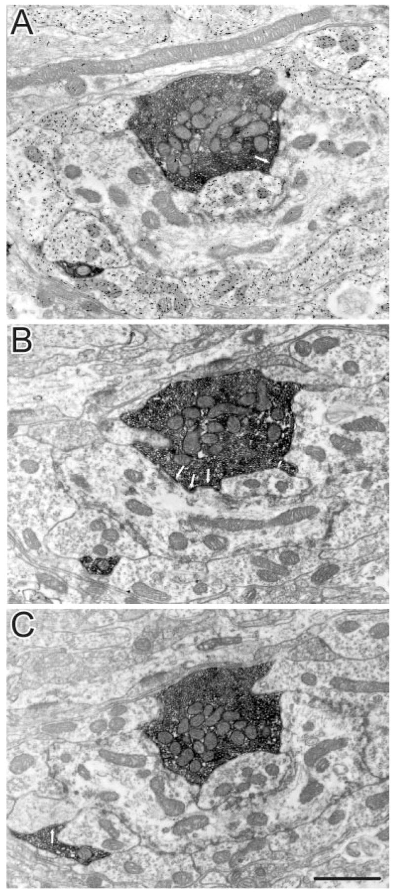 Fig. 11