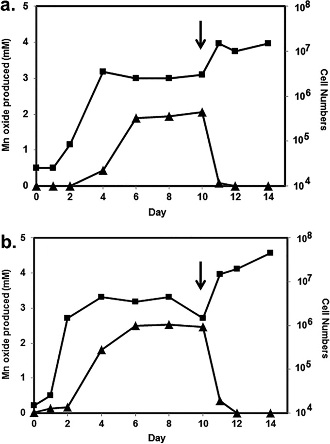 FIG 3