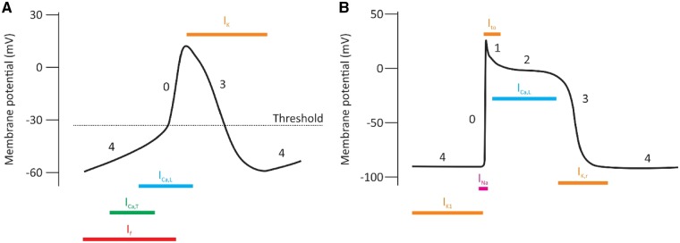 Figure 8