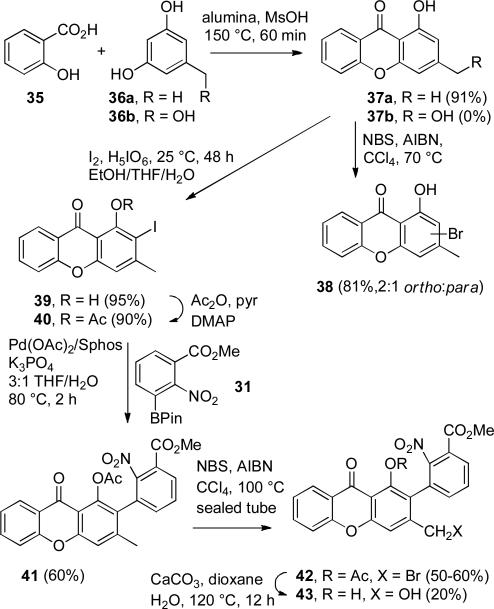 SCHEME 9