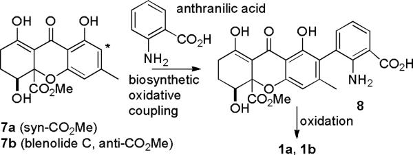 SCHEME 2