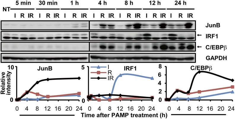 FIGURE 3.