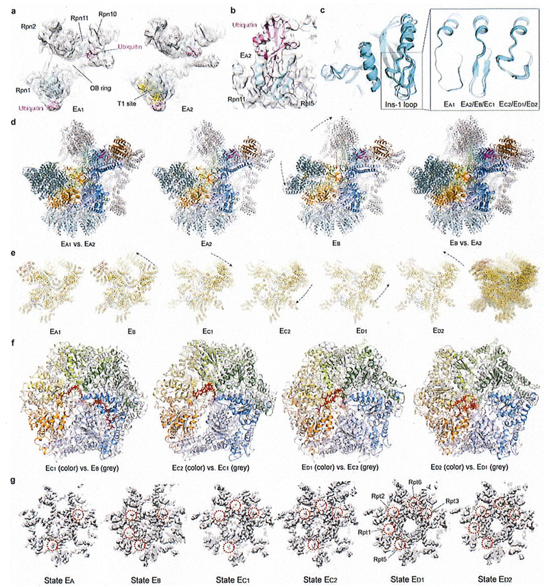 Extended Data Figure 4.