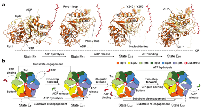 Figure 4.