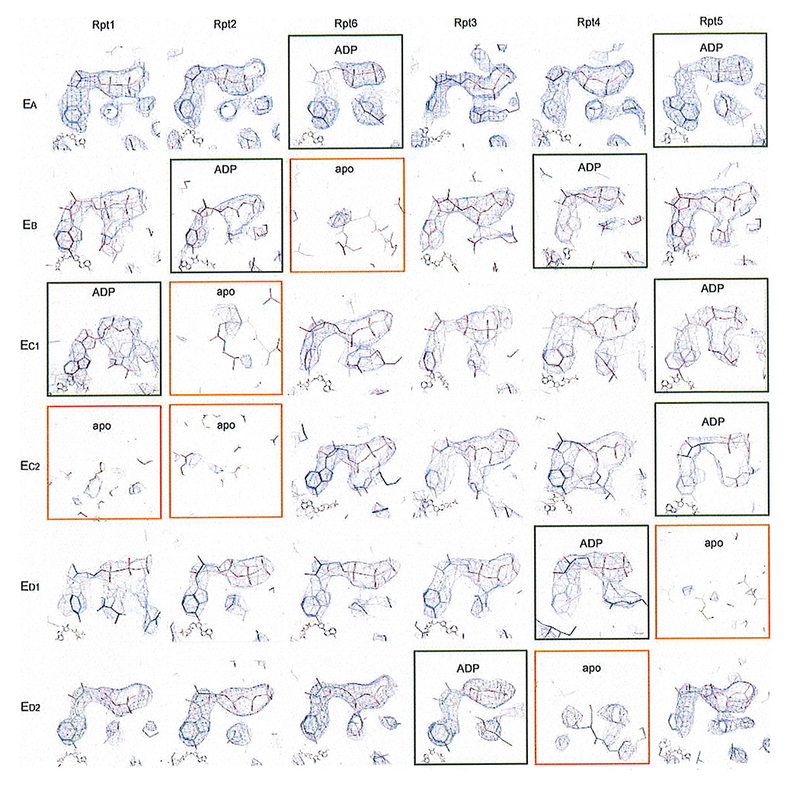 Extended Data Figure 6.