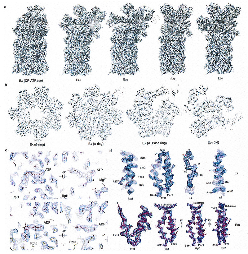 Extended Data Figure 3.