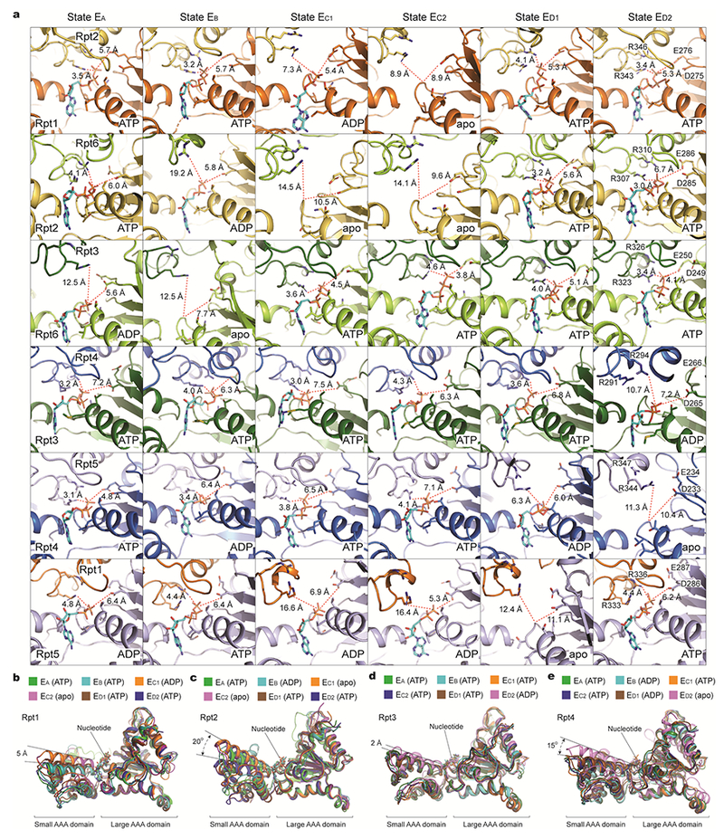 Extended Data Figure 8