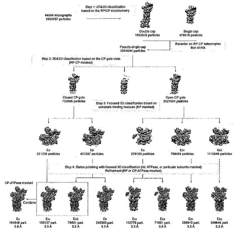 Extended Data Figure 2.