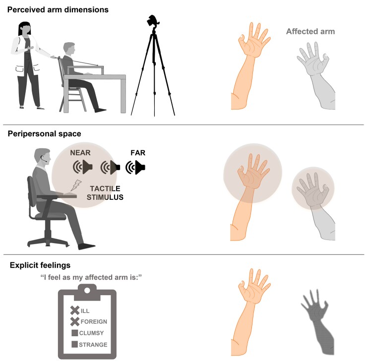 Graphical Abstract