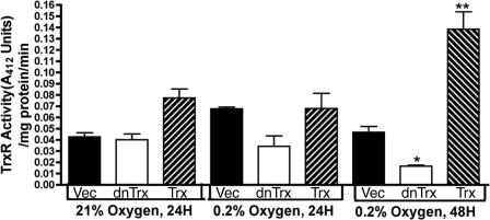 FIGURE 9.