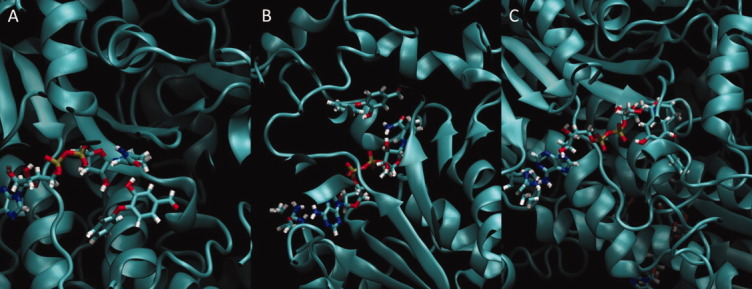 Figure 7