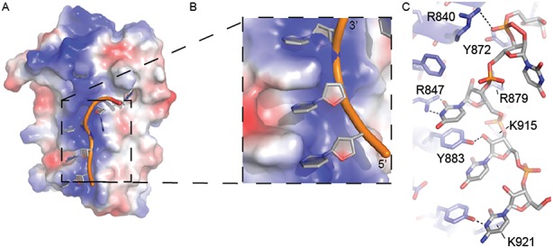 Figure 6.