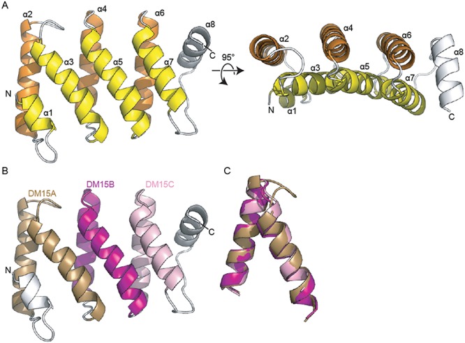 Figure 2.