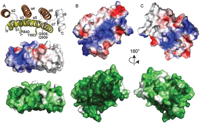 Figure 4.