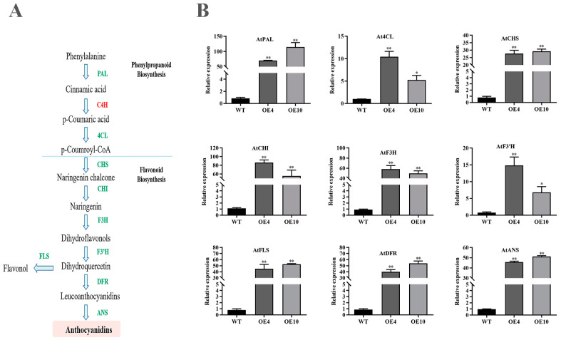 Figure 10