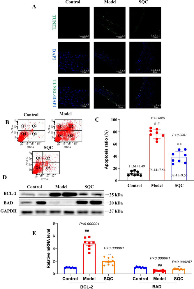 Fig. 4