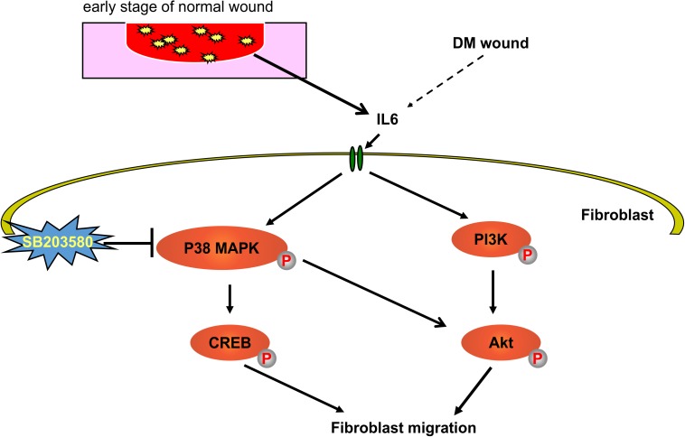 Fig 8