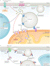 Fig. 4 |