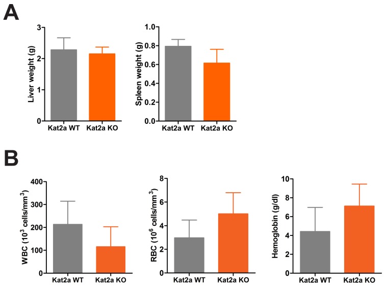 Figure 2—figure supplement 1.