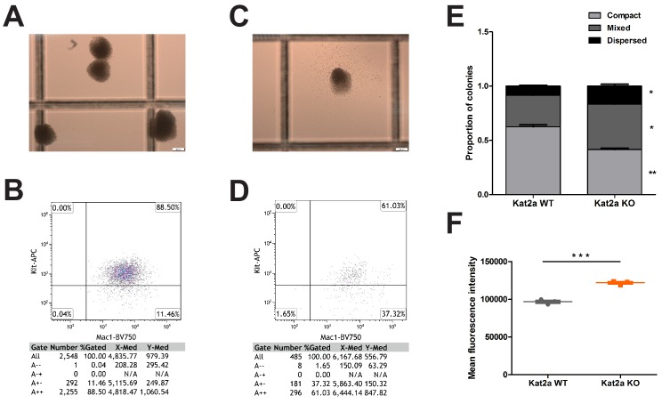 Figure 1—figure supplement 2.