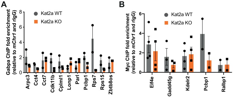 Figure 5—figure supplement 2.