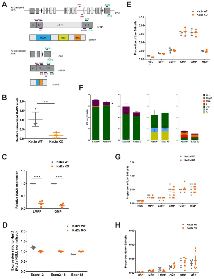 Figure 1—figure supplement 1.