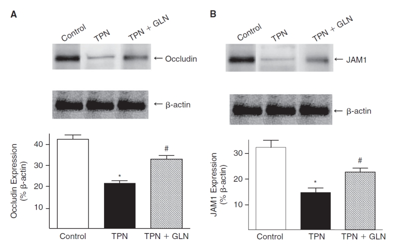 FIG. 6. 