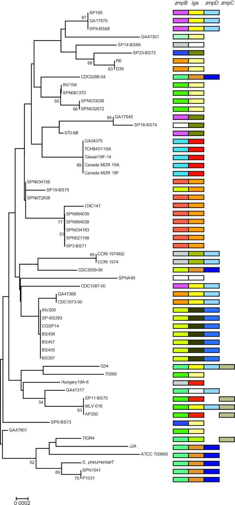 FIG 6 