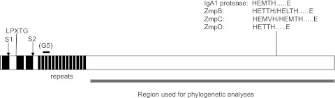 FIG 2 