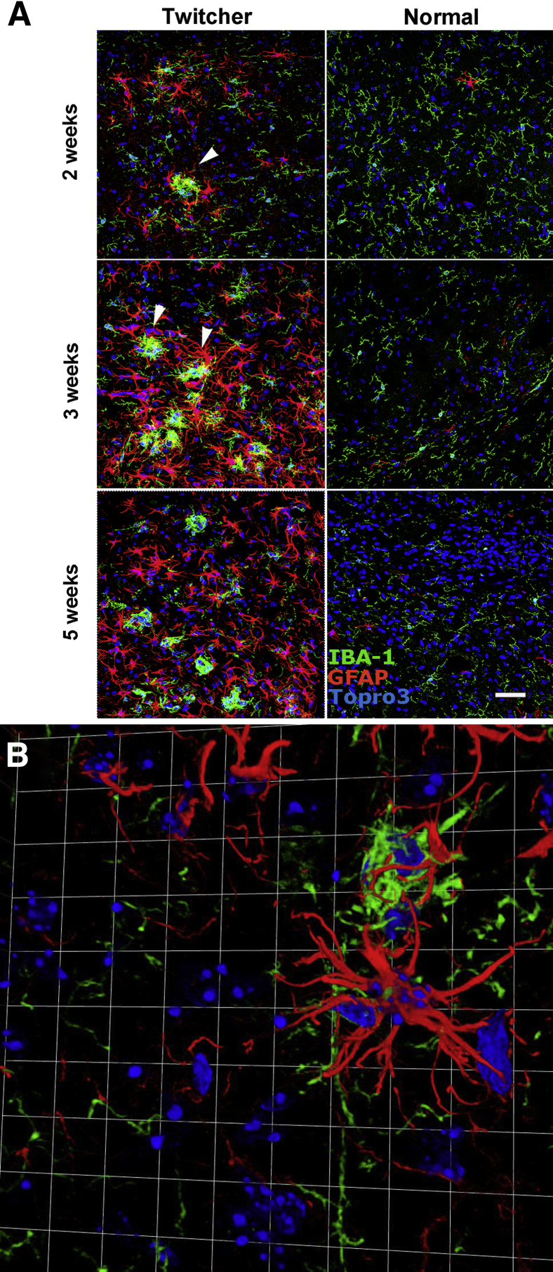 Figure 3