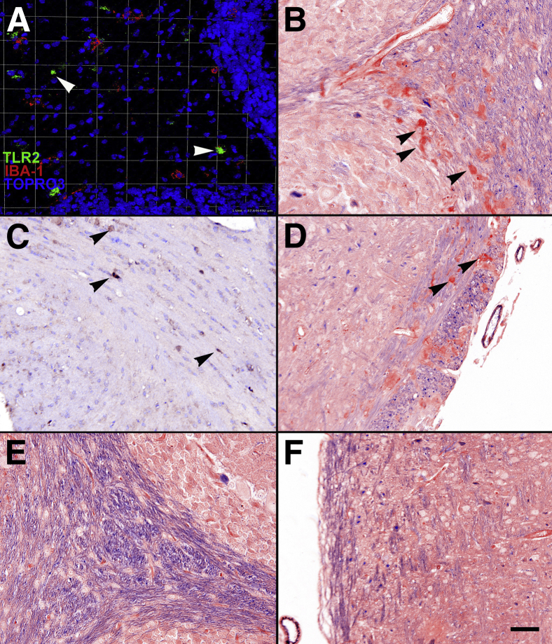 Figure 7