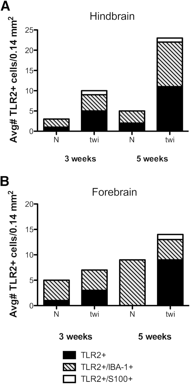 Figure 6