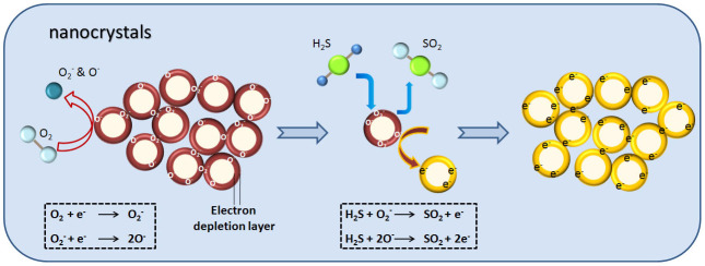 Figure 10