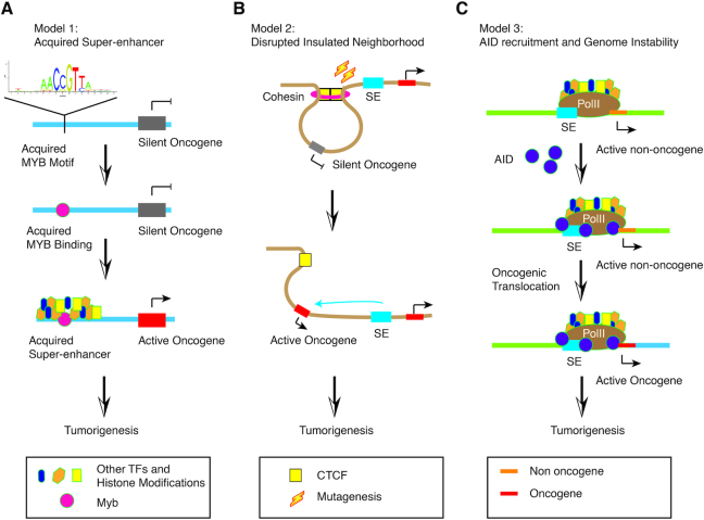 Figure 6.