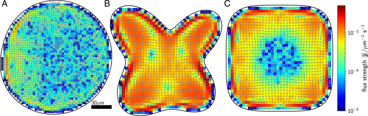 Fig. 3.