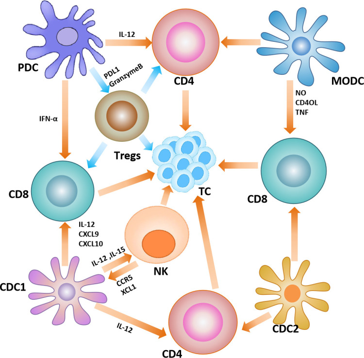 Figure 4