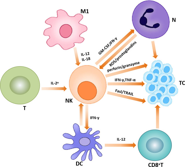 Figure 3