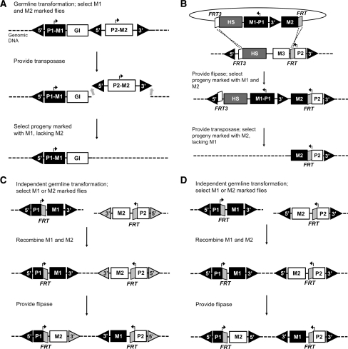 Fig. 1