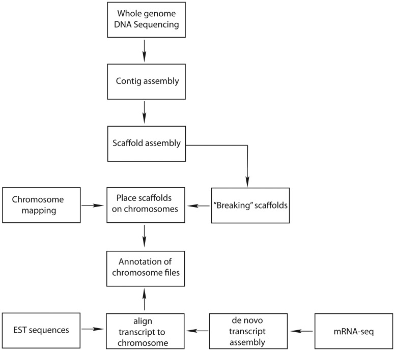 Figure 3: