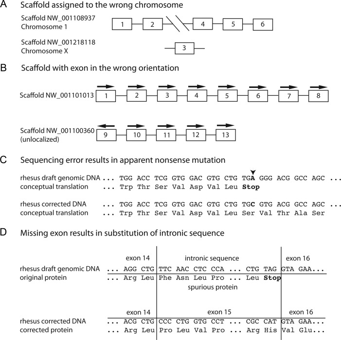 Figure 2: