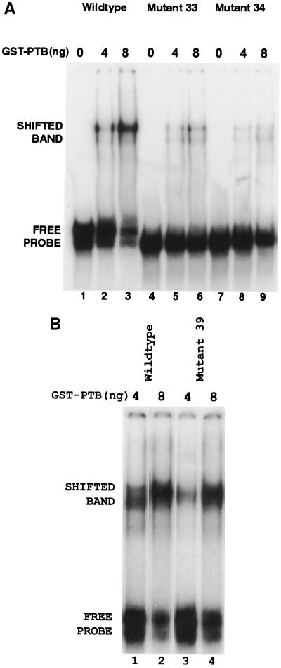 FIG. 6