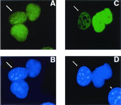 FIG. 10