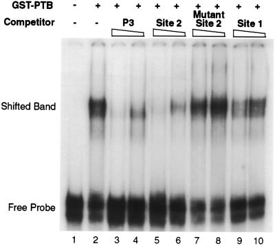 FIG. 5