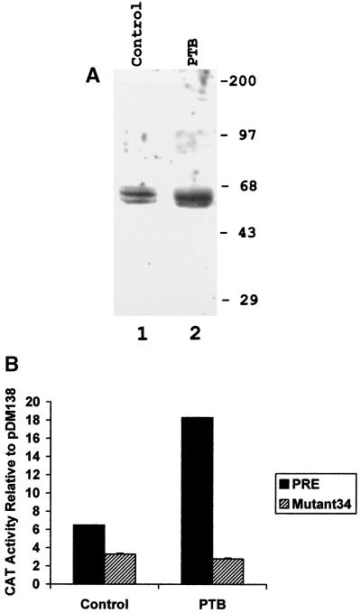 FIG. 9