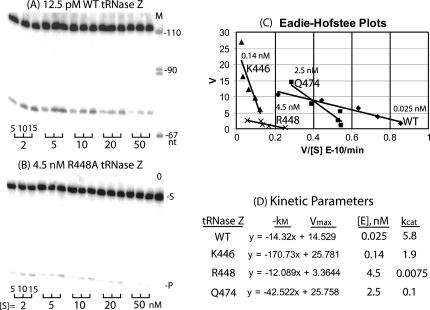 FIGURE 4.