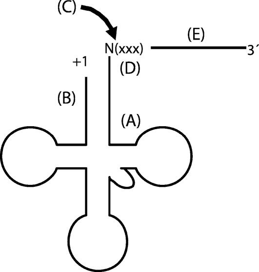 FIGURE 8.