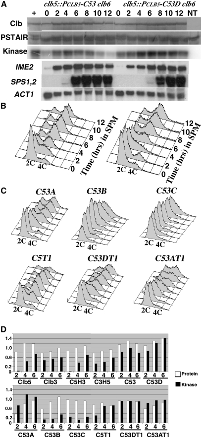 Figure 5 