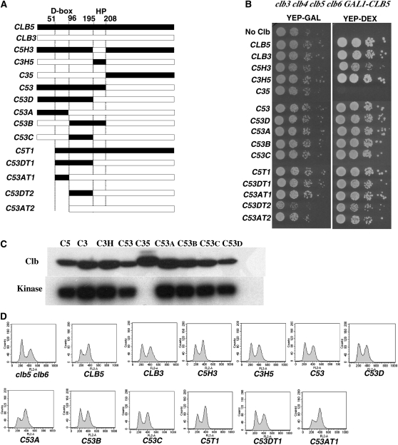 Figure 4 