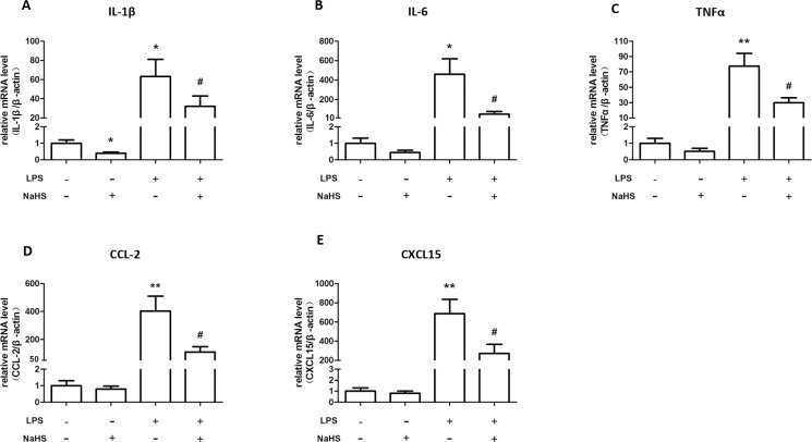 Fig 4